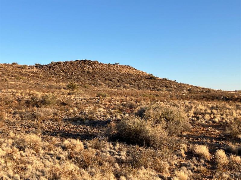 0 Bedroom Property for Sale in Prieska Northern Cape